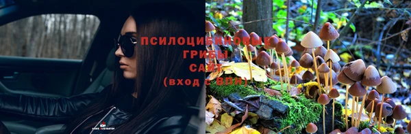 mix Беломорск