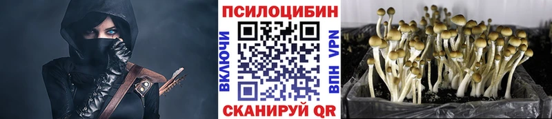 Псилоцибиновые грибы ЛСД  OMG ссылка  Невель 